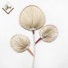 Natural Palm Leaves for decoration Model PTDO68