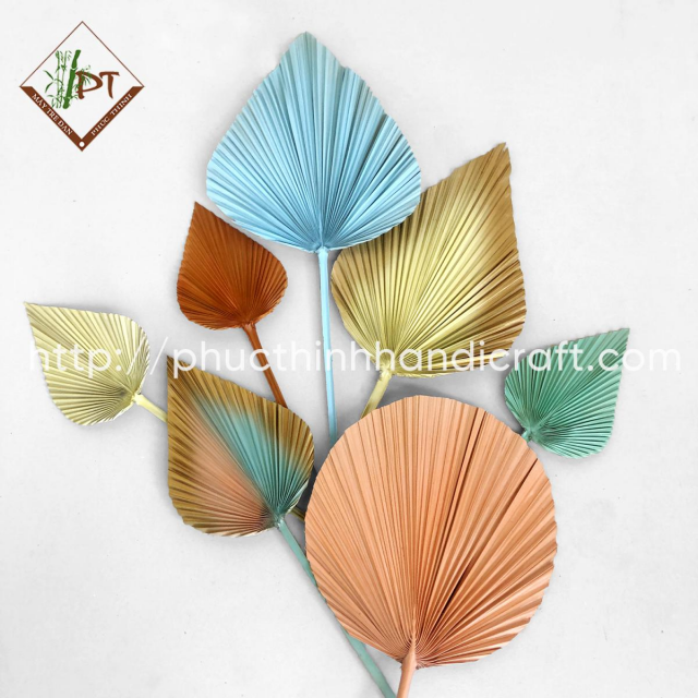 Colorful Palm Leaves Set for decoration Model PTDO60