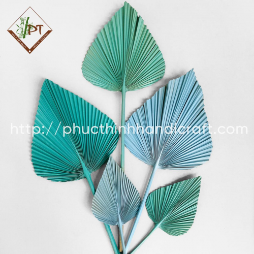 Colorful Palm Leaves Set for decoration Model PTDO66